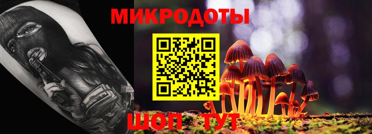 Вязьма  Псилоцибиновые грибы MAGIC MUSHROOMS  где продают   Вход с VPN 
